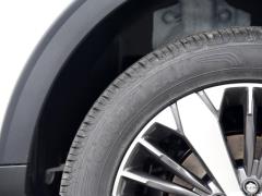 2021 2.0T Two-Wheel Drive Extreme Smart Technology Edition 2021 2.0T Two-wheel Drive Extreme Smart Technology Edition Фото 133 из 354