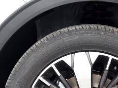 2021 2.0T Two-Wheel Drive Extreme Smart Technology Edition 2021 2.0T Two-wheel Drive Extreme Smart Technology Edition Фото 123 из 354