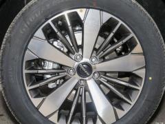 2021 2.0T Two-Wheel Drive Extreme Smart Technology Edition 2021 2.0T Two-wheel Drive Extreme Smart Technology Edition Фото 39 из 79