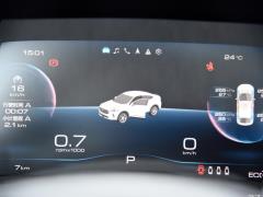2021 2.0T Two-Wheel Drive Extreme Smart Technology Edition 2021 2.0T Two-wheel Drive Extreme Smart Technology Edition Фото 110 из 375