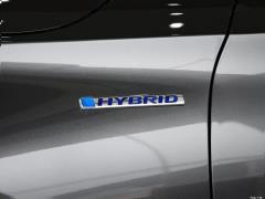 2018 Rui · Гибрид 2.0L Ruizhi Edition National VI 2018 Rui·Hybrid 2.0L Ruizhi Edition National VI Фото 30 из 48