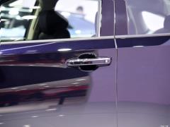 2021 Rui · Гибрид 2.0L Ruizhi · Star Limited Edition 2021 Rui·Hybrid 2.0L Ruizhi·Star Limited Edition Фото 90 из 156