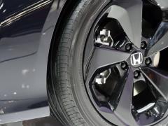 2021 Rui · Гибрид 2.0L Ruizhi · Star Limited Edition 2021 Rui·Hybrid 2.0L Ruizhi·Star Limited Edition Фото 101 из 156