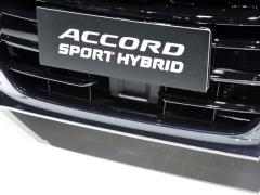 2021 Rui · Гибрид 2.0L Ruizhi · Star Limited Edition 2021 Rui·Hybrid 2.0L Ruizhi·Star Limited Edition Фото 81 из 156