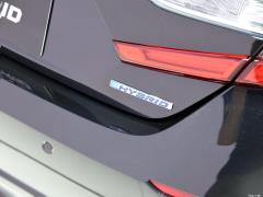 2021 Rui · Гибрид 2.0L Ruizhi · Star Limited Edition 2021 Rui·Hybrid 2.0L Ruizhi·Star Limited Edition Фото 96 из 156