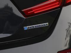 2021 Rui · Гибрид 2.0L Ruizhi · Star Limited Edition 2021 Rui·Hybrid 2.0L Ruizhi·Star Limited Edition Фото 63 из 156