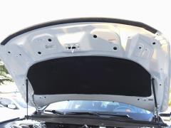260TURBO Deluxe Edition National VI 2018 г. 2018 260TURBO Deluxe Edition National VI Фото 27 из 126
