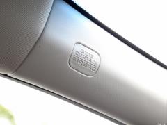 2021 Rui · Гибрид 2.0L Ruizhi · Star Limited Edition 2021 Rui·Hybrid 2.0L Ruizhi·Star Limited Edition Фото 443 из 704