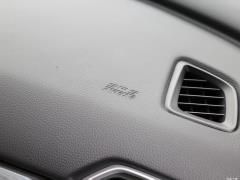 2021 Rui · Гибрид 2.0L Ruizhi · Star Limited Edition 2021 Rui·Hybrid 2.0L Ruizhi·Star Limited Edition Фото 103 из 704