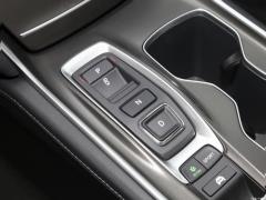 2021 Rui · Гибрид 2.0L Ruizhi · Star Limited Edition 2021 Rui·Hybrid 2.0L Ruizhi·Star Limited Edition Фото 99 из 704