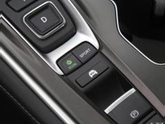 2021 Rui · Гибрид 2.0L Ruizhi · Star Limited Edition 2021 Rui·Hybrid 2.0L Ruizhi·Star Limited Edition Фото 101 из 704