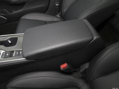 2021 Rui · Гибрид 2.0L Ruizhi · Star Limited Edition 2021 Rui·Hybrid 2.0L Ruizhi·Star Limited Edition Фото 414 из 704