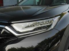 2021 год - Sharp Hybrid 2.0L 4WD Net Edition 2021 Sharp Hybrid 2.0L 4WD Net Edition Фото 87 из 665