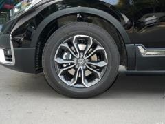 2021 год - Sharp Hybrid 2.0L 4WD Net Edition 2021 Sharp Hybrid 2.0L 4WD Net Edition Фото 95 из 665