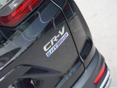 2021 год - Sharp Hybrid 2.0L 4WD Net Edition 2021 Sharp Hybrid 2.0L 4WD Net Edition Фото 124 из 665
