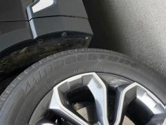 2021 год - Sharp Hybrid 2.0L 4WD Net Edition 2021 Sharp Hybrid 2.0L 4WD Net Edition Фото 96 из 665