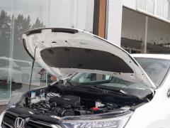 2021 240TURBO CVT 4WD Black Jazz Edition 2021 240TURBO CVT 4WD Black Jazz Edition Фото 37 из 376