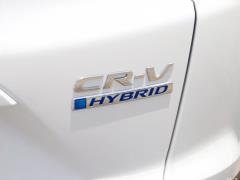 2021 Sharp Hybrid 2.0L Two-Wheel Drive Net Speed Edition 2021 Sharp Hybrid 2.0L Two-wheel Drive Net Speed Edition Фото 364 из 376