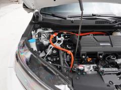 2021 Sharp · Гибридный 2.0L 4WD Net · Black Jazz Edition 2021 Sharp·Hybrid 2.0L 4WD Net·Black Jazz Edition Фото 115 из 376