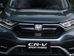 2021 год - Sharp Hybrid 2.0L 4WD Net Enjoy Edition 2021 Sharp Hybrid 2.0L 4WD Net Enjoy Edition Фото 13 из 60