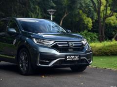 2021 год - Sharp Hybrid 2.0L 4WD Net Enjoy Edition 2021 Sharp Hybrid 2.0L 4WD Net Enjoy Edition Фото 37 из 60
