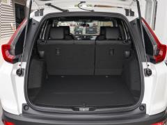 2021 Sharp · Гибридный 2,0-литровый привод на два колеса · Black Jazz Edition 2021 Sharp·Hybrid 2.0L Two-wheel Drive Net·Black Jazz Edition Фото 527 из 813