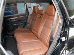 2021 год - Sharp Hybrid 2.0L 4WD Net Edition 2021 Sharp Hybrid 2.0L 4WD Net Edition Фото 386 из 642