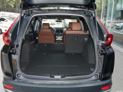 2021 год - Sharp Hybrid 2.0L 4WD Net Edition 2021 Sharp Hybrid 2.0L 4WD Net Edition Фото 412 из 642