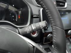 2021 год - Sharp Hybrid 2.0L 4WD Net Edition 2021 Sharp Hybrid 2.0L 4WD Net Edition Фото 86 из 642