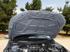 2021 1.5L CVT GLS Ведущее издание 2021 1.5L CVT GLS Leading Edition Фото 19 из 105