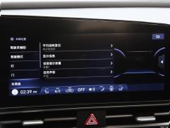 2021 1,5-литровый вариатор LUX Premium Edition 2021 1.5L CVT LUX Premium Edition Фото 239 из 544