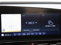 2021 1,5-литровый вариатор LUX Premium Edition 2021 1.5L CVT LUX Premium Edition Фото 226 из 544