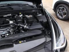 2020 270TGDi DCT GLS Элитное издание 2020 270TGDi DCT GLS Elite Edition Фото 12 из 54