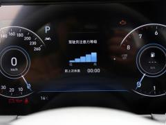 2020 модельный фейслифтинг 380TGDi автоматическая версия GS Smart Enjoyment 2020 model facelift 380TGDi automatic GS smart enjoyment version Фото 15 из 468