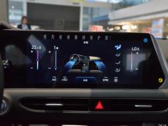 2020 270TGDi DCT GLS Элитное издание 2020 270TGDi DCT GLS Elite Edition Фото 29 из 92