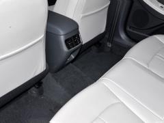 2020 270TGDi DCT GLS Элитное издание 2020 270TGDi DCT GLS Elite Edition Фото 65 из 92