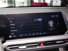 2020 270TGDi DCT GLS Элитное издание 2020 270TGDi DCT GLS Elite Edition Фото 92 из 188