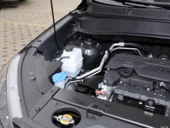 2021 2.0L, автоматическая полноприводная версия GLS, ведущая версия 2021 2.0L automatic two-wheel drive GLS leading version Фото 10 из 77
