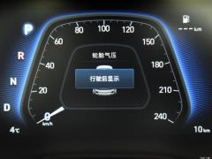 2021 240TGDi DCT полноприводная версия GLS, ведущая 2021 240TGDi DCT two-wheel drive GLS leading version Фото 117 из 274