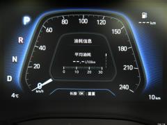 2021 240TGDi DCT полноприводная версия GLS, ведущая 2021 240TGDi DCT two-wheel drive GLS leading version Фото 113 из 274