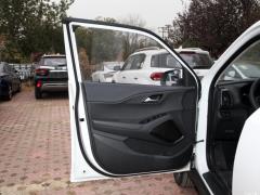 2021 240TGDi DCT полноприводная версия GLS, ведущая 2021 240TGDi DCT two-wheel drive GLS leading version Фото 248 из 274