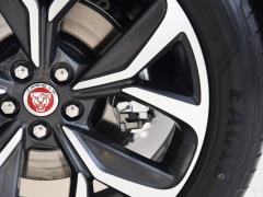 2020 EV400 HSE 2020 EV400 HSE Фото 38 из 99