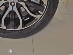 2021 3.0 L6 Сияющий черный выпуск 2021 3.0 L6 Shining Black Edition Фото 35 из 47