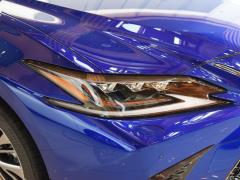 2020 260 F СПОРТ 2020 260 F SPORT Фото 16 из 67