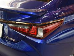 2020 260 F СПОРТ 2020 260 F SPORT Фото 62 из 67