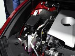 2020 260 F СПОРТ 2020 260 F SPORT Фото 56 из 98
