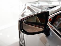 2020 300h Premium Edition 2020 300h Premium Edition Фото 27 из 49