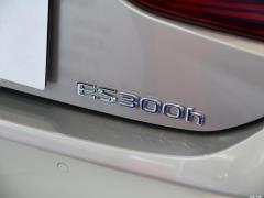 2020 300h Premium Edition 2020 300h Premium Edition Фото 43 из 49