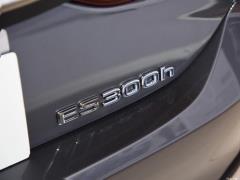 2020 300h Premium Edition 2020 300h Premium Edition Фото 46 из 50