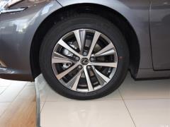 2020 300h Premium Edition 2020 300h Premium Edition Фото 23 из 50